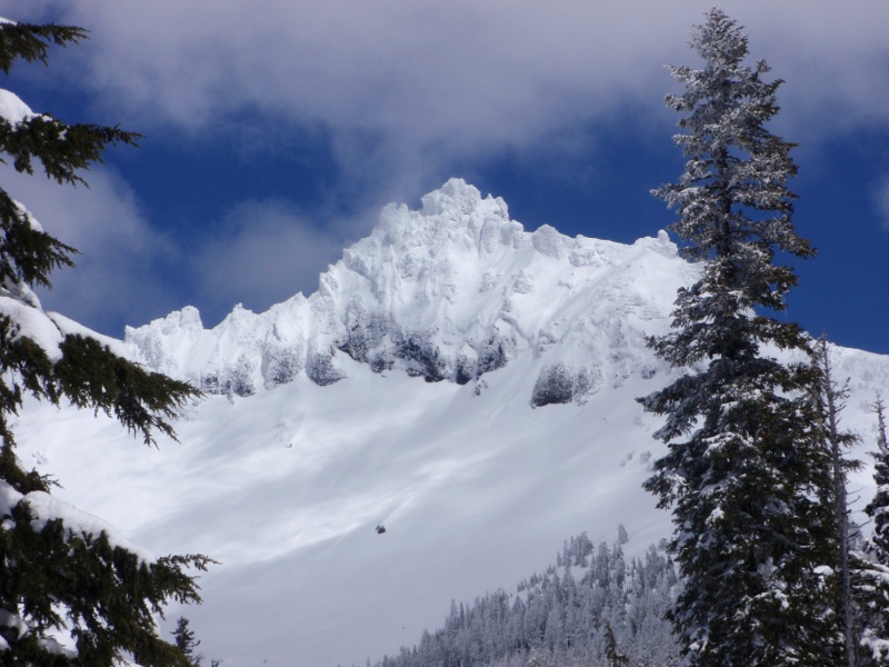 Three Fingered Jack