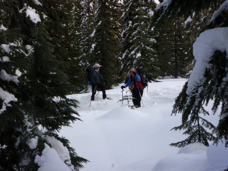 Taking the short-cut up to the PCT