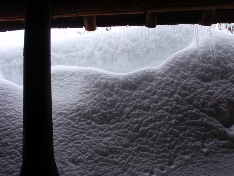 View from inside the Bechtel Shelter