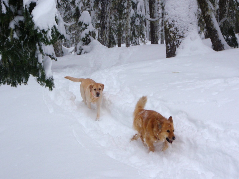 Molly and Hudson on the way back