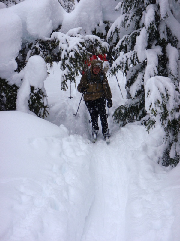 Sue ducks under the tree that&#8127;s fallen across the Bechtel Creek Trail