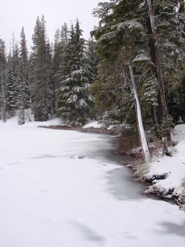 Getting some melt-out along the north shore of Midnight Lake