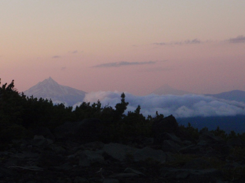 Mts. Jefferson and Hood