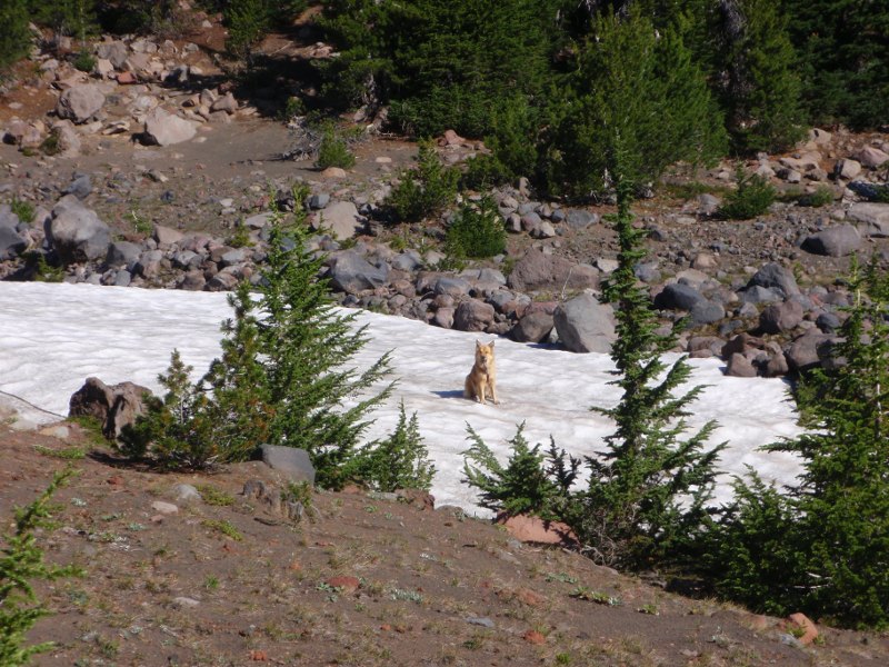 Patches of snow above 6000 ft