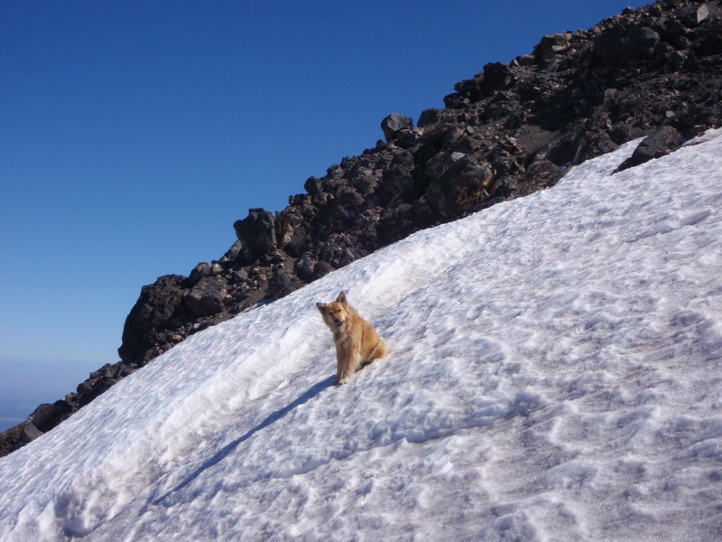 &#8220;Crampons? Who needs crampons?&#8221;