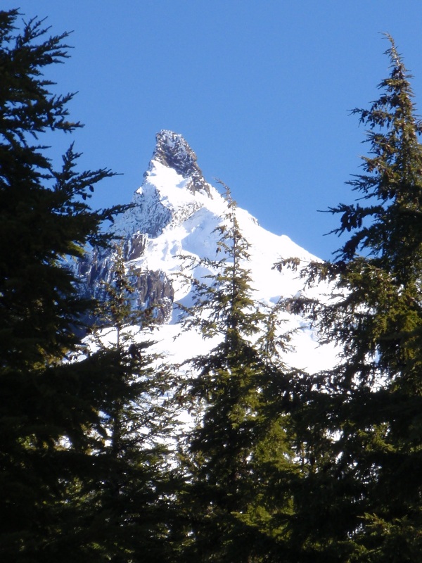 View through the trees at about 6000' elev.