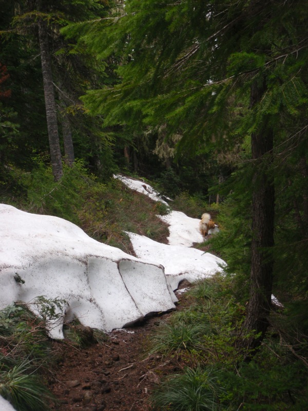 Snow on the PCT