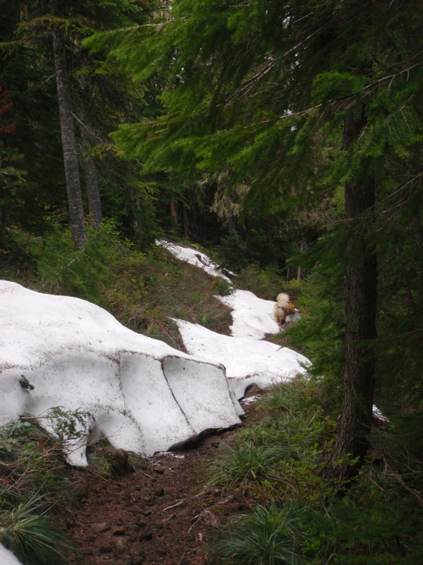 Snow on the PCT