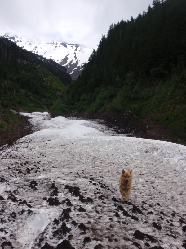 Walking on top of Milk Creek