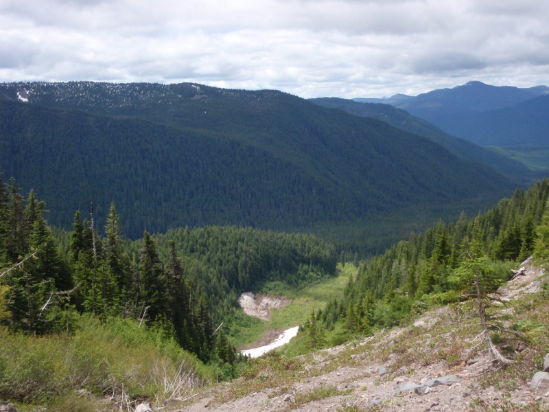 Looking back down on Milk Creek from the climbers trail