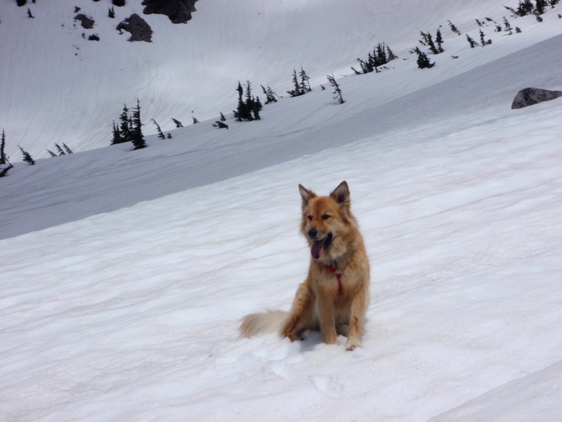 Cooling off at 6800'