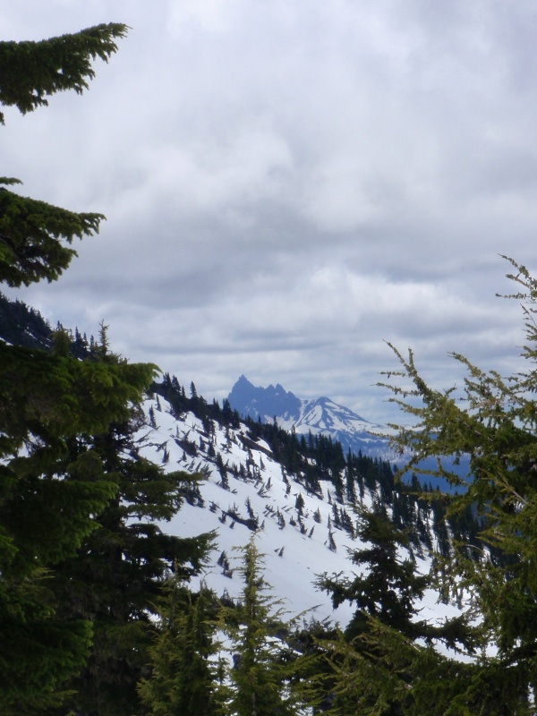 Three Fingered Jack