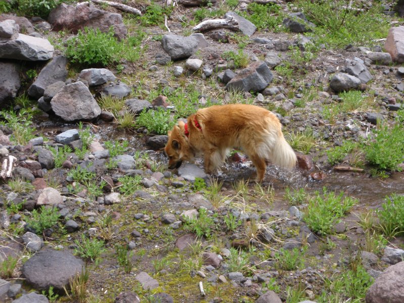 Water break