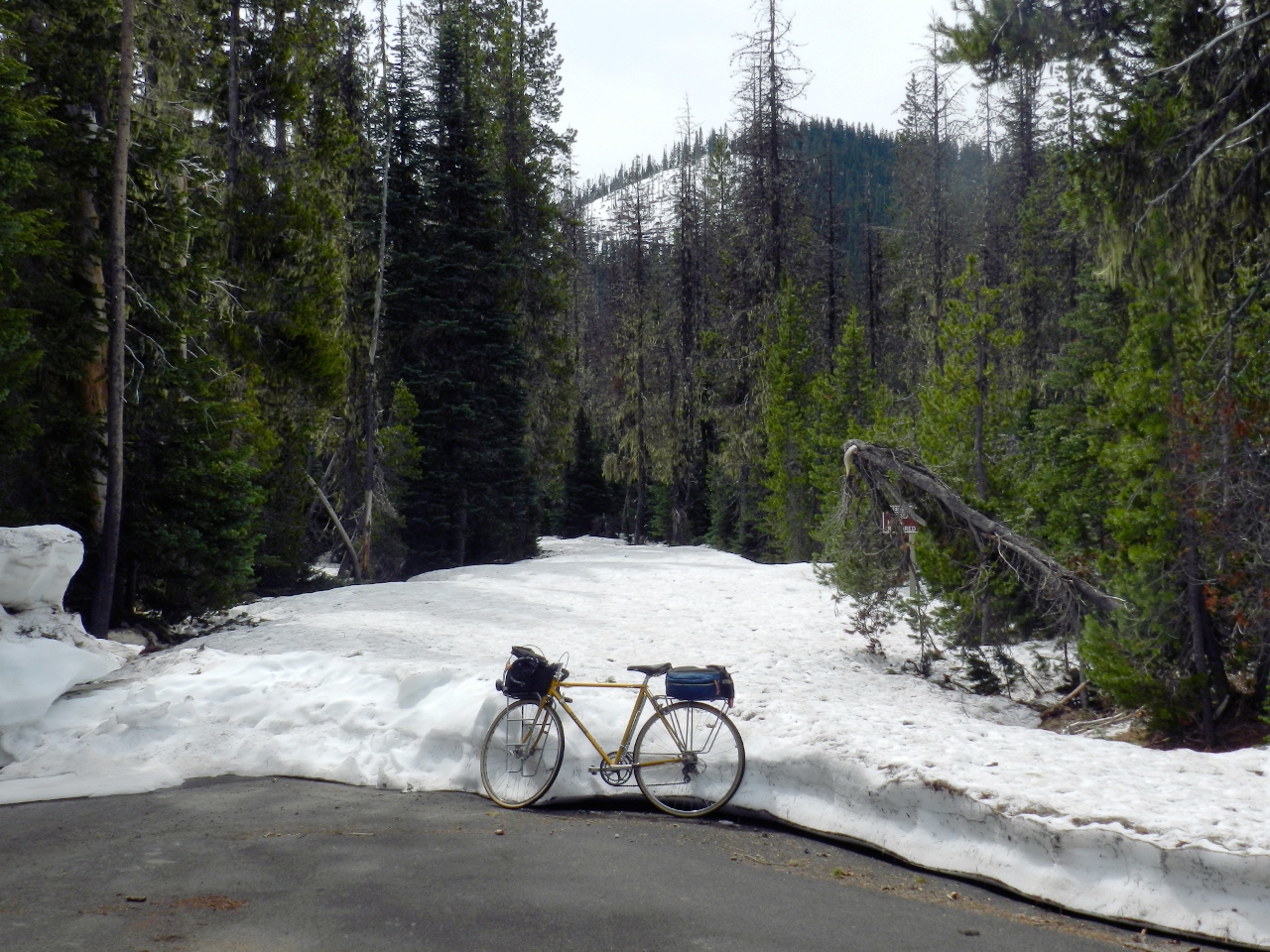 Still a couple feet of snow on the road to the Obsidian Trailhead