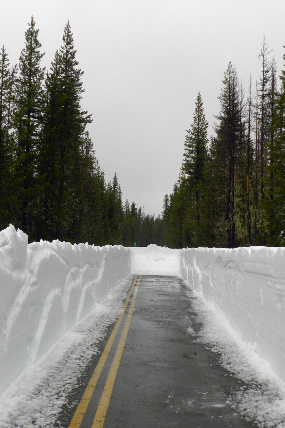 MP71.?: where they've plowed to so far (almost to Scott Lake)