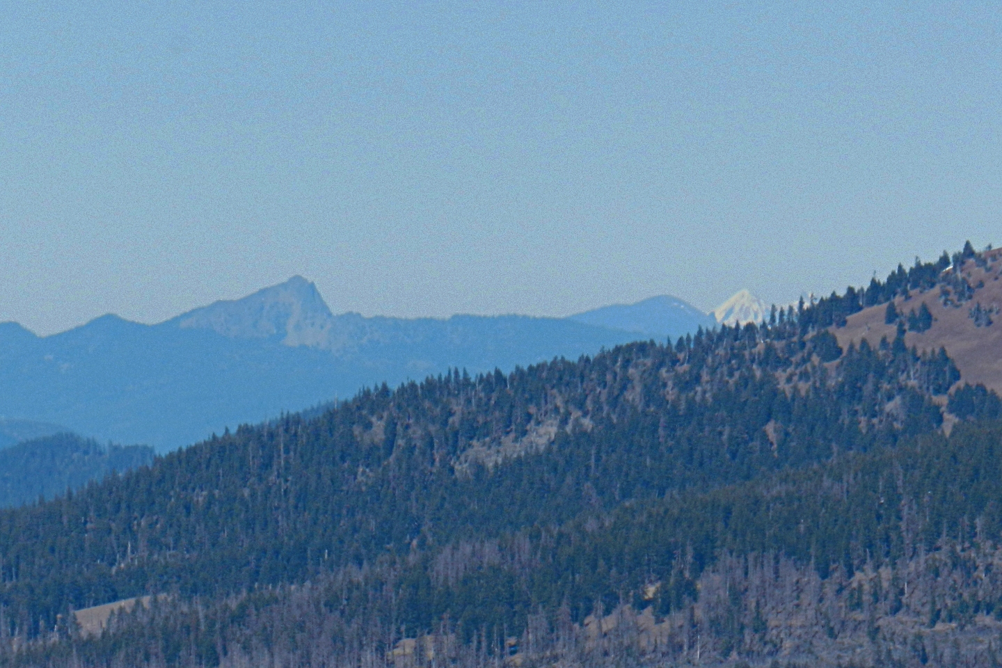 Cowhorn Mtn, Maiden Peak and the Sisters