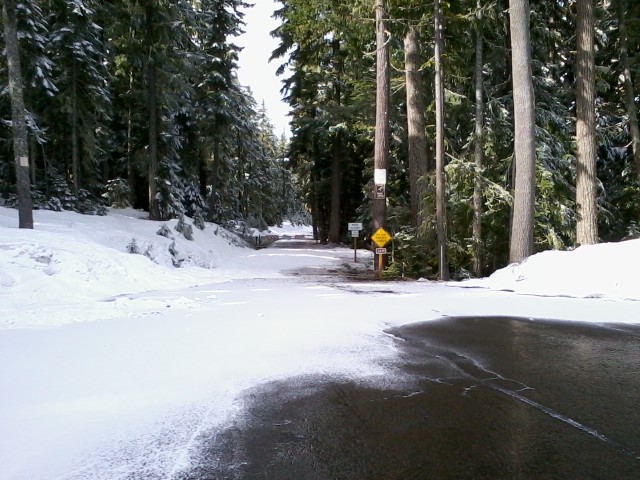 Low snow year&mdash;snow almost gone from Abernethy Rd. already