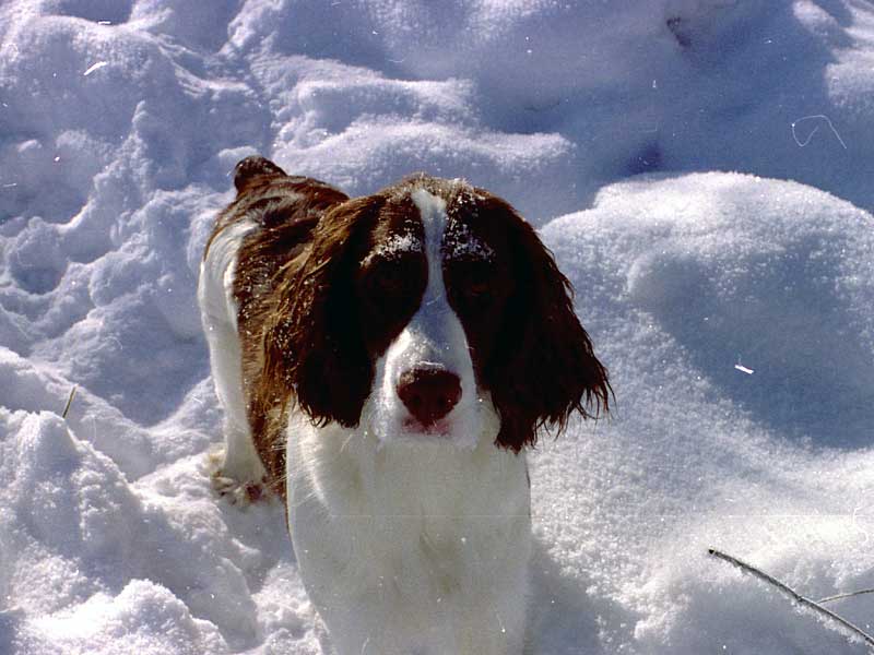 Leina's first winter